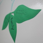IMG 4365 150x150 Thankful Tree